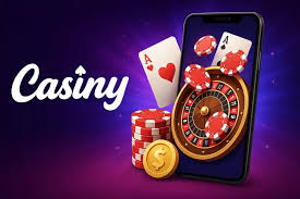 Unlock Exclusive Benefits with the Casiny VIP Program 44 Unlock Exclusive Benefits with the Casiny VIP Program 44