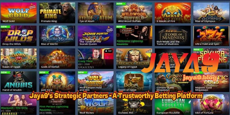 Live Casino vs RNG Games Which One Should You Choose