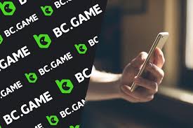 Exploring the BC.Game VN Platform Your Gateway to Online Gaming